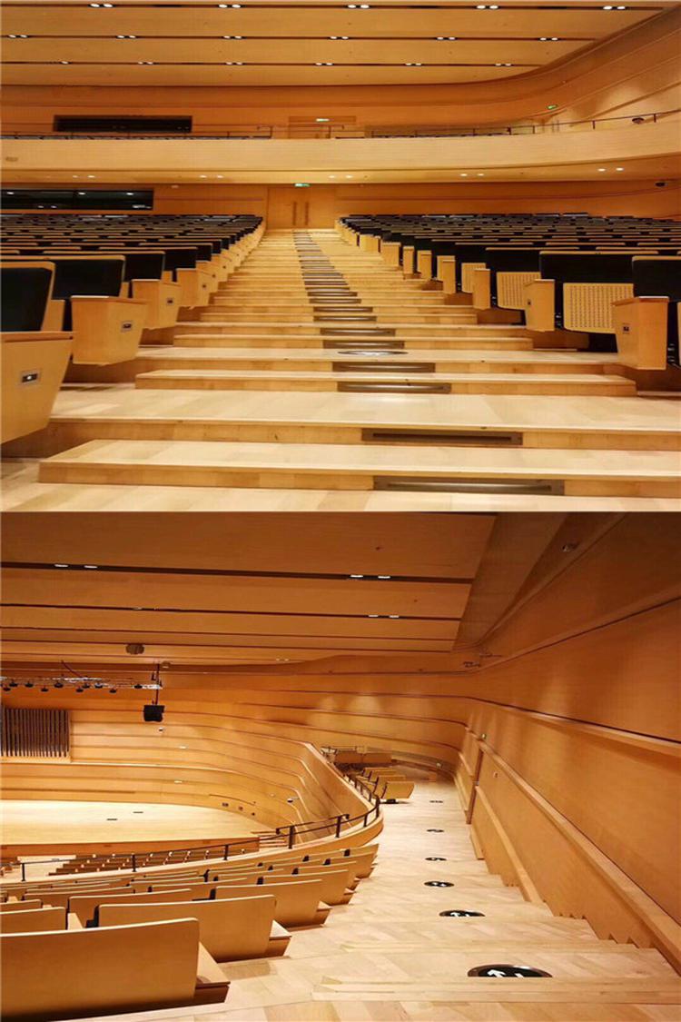 陜西咸陽(yáng)學(xué)校音樂(lè)廳吸音材料聲學(xué)工程